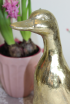 Dekorácia - kačka v zlatej farbe